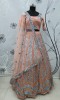 Embroidered work Net Lehenga Choli in Peach